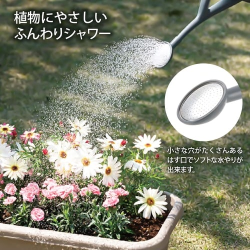 �i�N���@�W���[���m�@�O���[