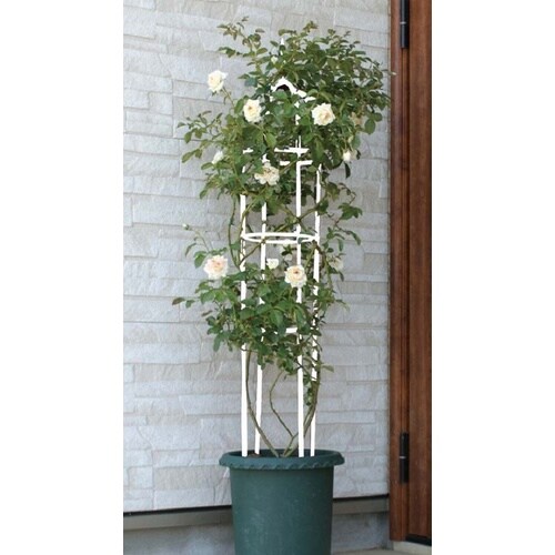 スモールオベリスク