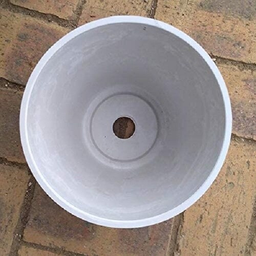 �{�^�j�[�@�v���[���|�b�g