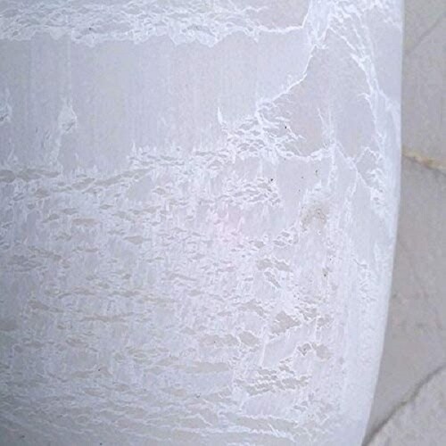 �{�^�j�[�@�v���[���|�b�g