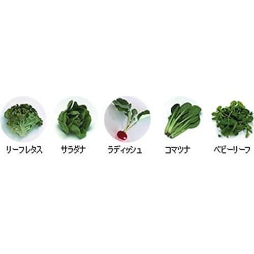 �΂̂₳���v�����^�[�@�O���[��