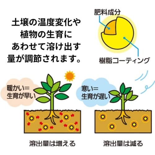 �}�C���[�Y�@�΂�̔엿