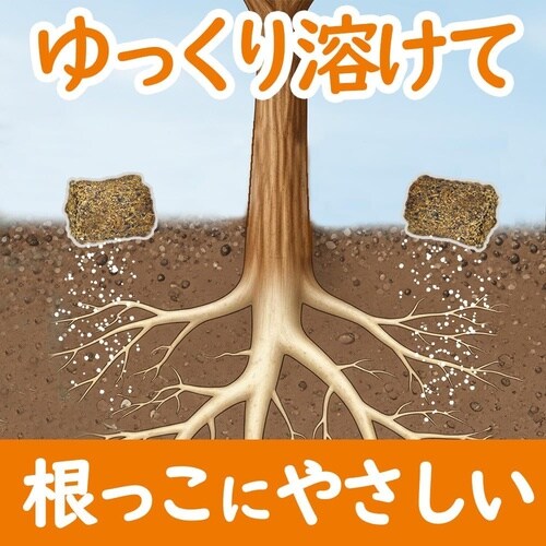 �ʎ��E�Ԗ؂̔엿