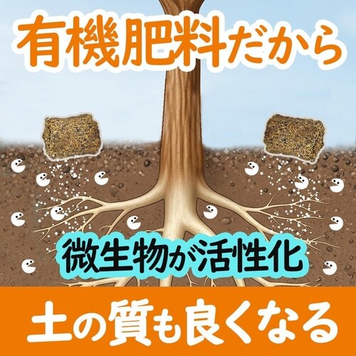 �ʎ��E�Ԗ؂̔엿