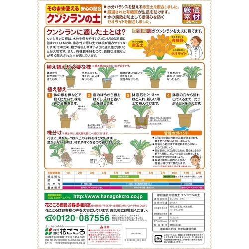 クンシランの土