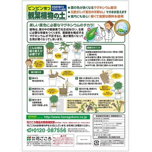 �ϗt�A���̓y