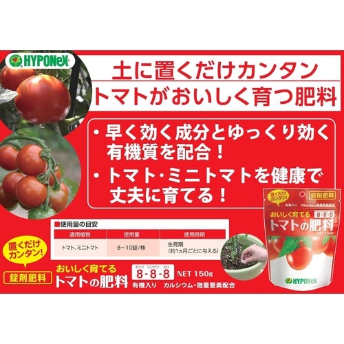 �g�}�g�̔엿