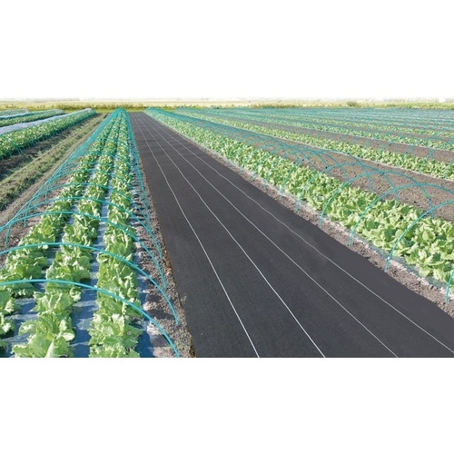 ���͖h���N���X�V�[�g�@���@���Ǌ�