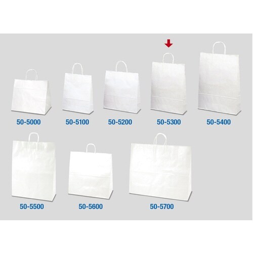 ��񂰑܁@�T�O����