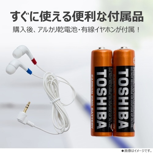 �k�d�c���C�g�t���W�I