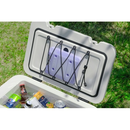 �g�t�f�d�k�@�X�_���ۗ��