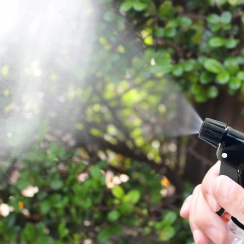 �U�E�������i�U��q�z�[�X�j