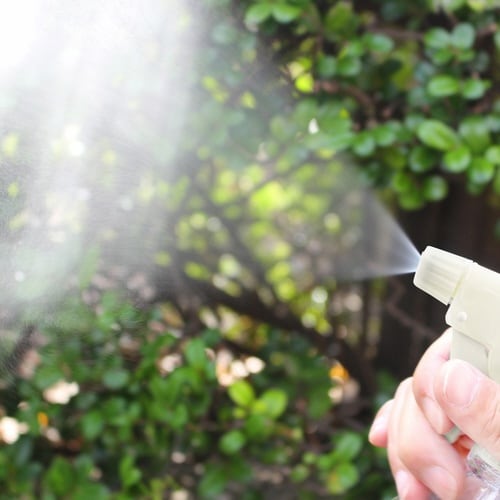 �U�E�������i�U��q�z�[�X�j