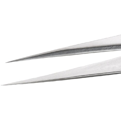 �X�e�����X�s���Z�b�g