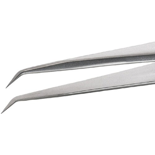 �X�e�����X�s���Z�b�g