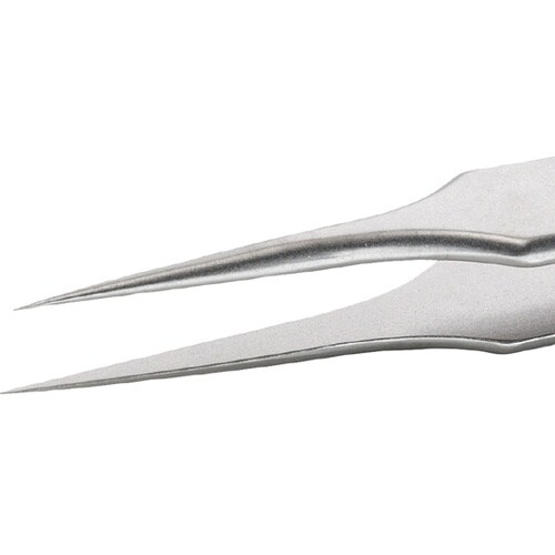 �X�e�����X�s���Z�b�g