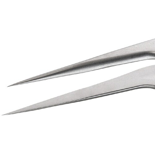 �X�e�����X�s���Z�b�g