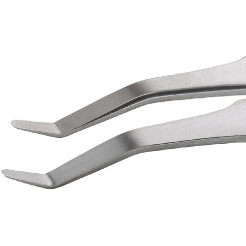 �X�e�����X�s���Z�b�g