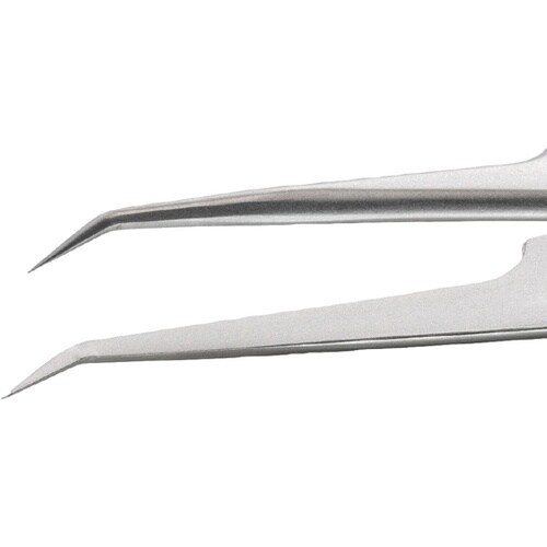 �X�e�����X�s���Z�b�g