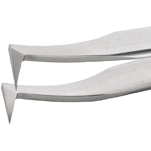 �X�e�����X�s���Z�b�g