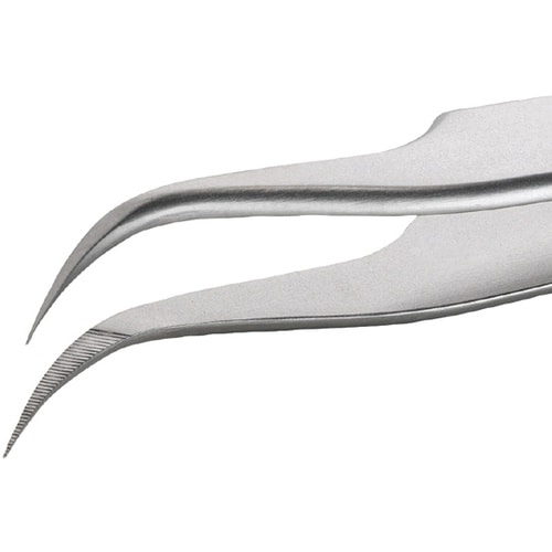 �X�e�����X�s���Z�b�g