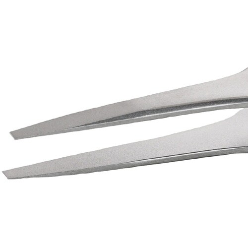 �X�e�����X�s���Z�b�g