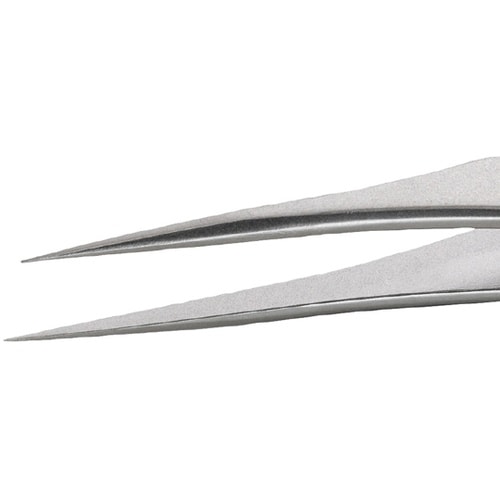 �X�e�����X�s���Z�b�g