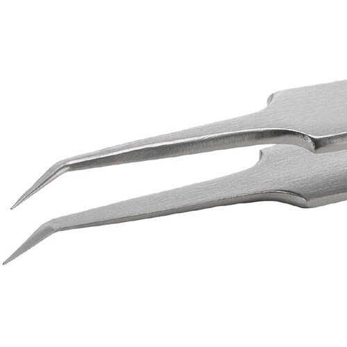 �X�e�����X�s���Z�b�g