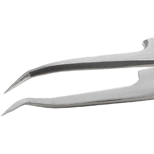 �X�e�����X�s���Z�b�g