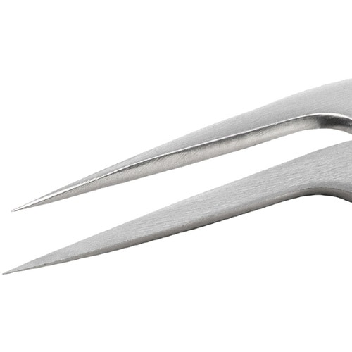 �X�e�����X�s���Z�b�g