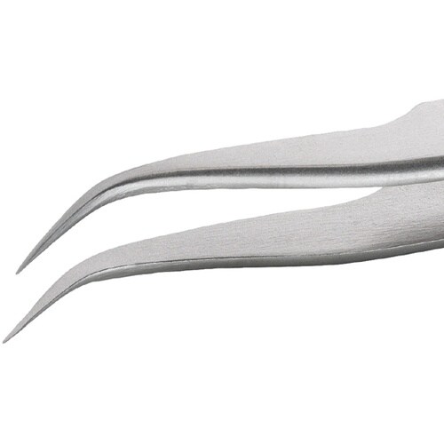 �X�e�����X�s���Z�b�g