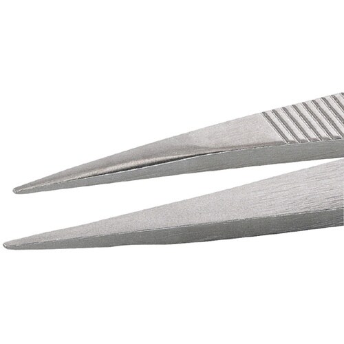 �X�e�����X�s���Z�b�g�i�ώ_�^���j