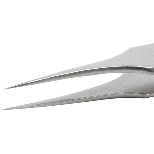 �X�e�����X�s���Z�b�g�i�ώ_�^���j