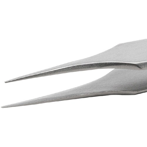 �X�e�����X�s���Z�b�g�i�ώ_�^���j