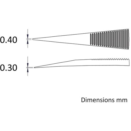 �X�e�����X�s���Z�b�g�i�ώ_�^���j