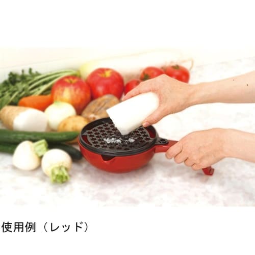 速攻おろしレシピ付き