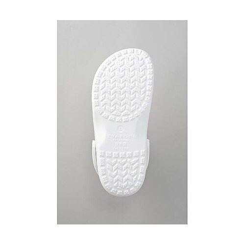 �G�o�����T���_��