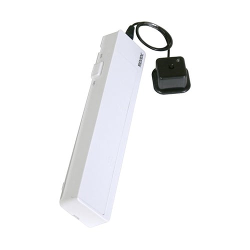 ���C�����X