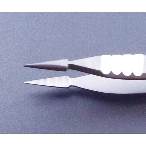 �X�e�����X�s���Z�b�g