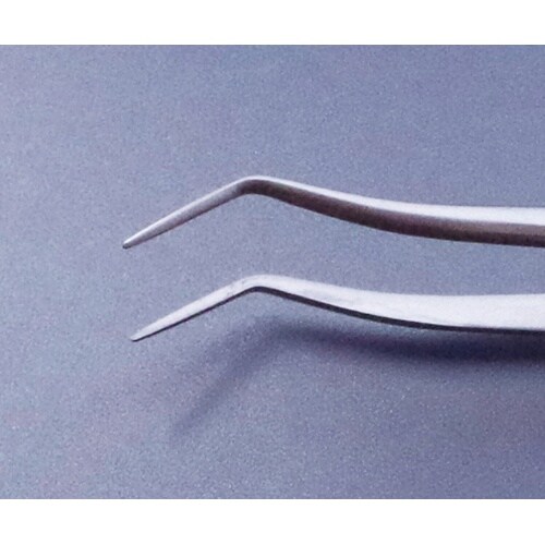 �X�e�����X�s���Z�b�g