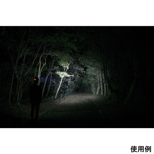 �w�b�h�E�H�[�Y�@�w�b�h���C�g�@�a�a