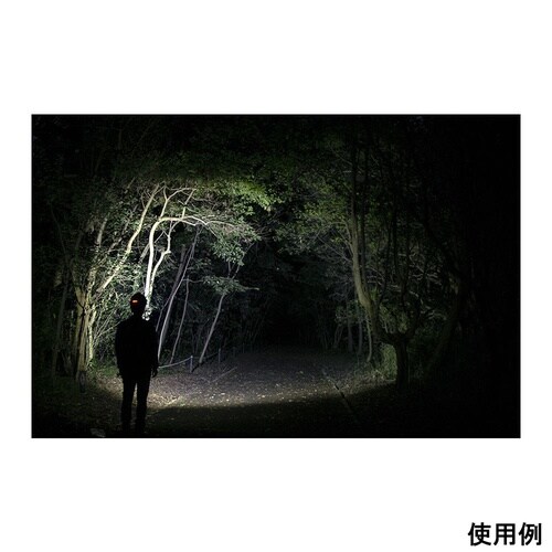 �w�b�h�E�H�[�Y�@�w�b�h���C�g�@�a�a