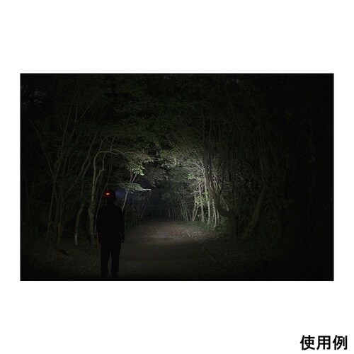 �w�b�h�E�H�[�Y�@�w�b�h���C�g�@�a�a