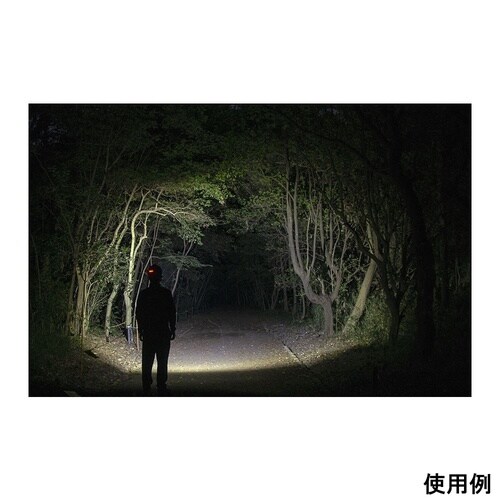 �w�b�h�E�H�[�Y�@�w�b�h���C�g�@�a�a