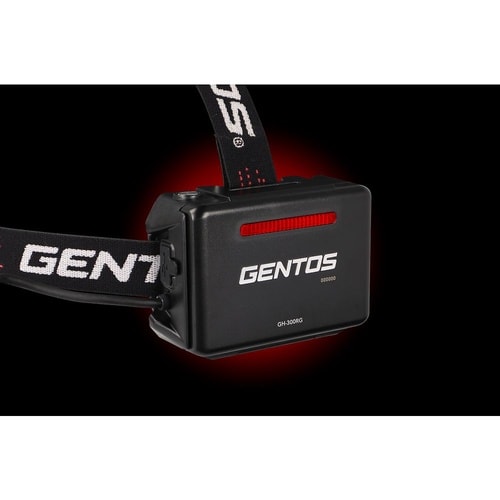 �f�V���[�Y�@�w�b�h���C�g�@�n�C�u���b�h