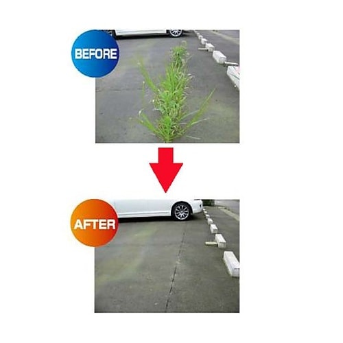 �Q�P�O�����@�G���u���V