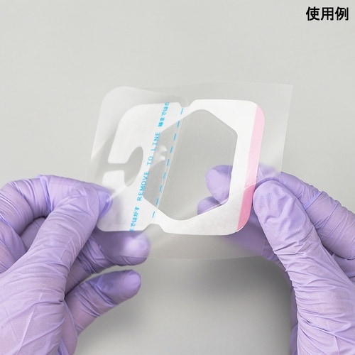 �J�e���[�v���X�s�l�G�R�[�^�J�e���[�v���X�G�R�[