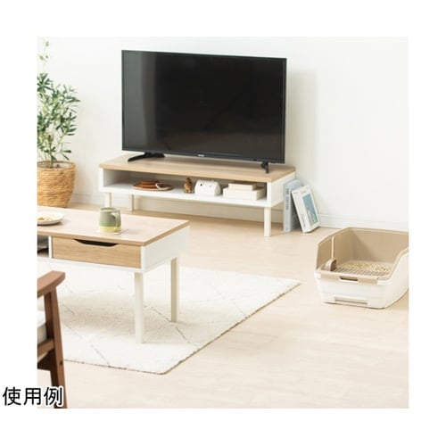 ���N���[���@���L�V�X�e���g�C��