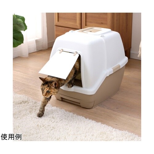 ���N���[���@���L�V�X�e���g�C��