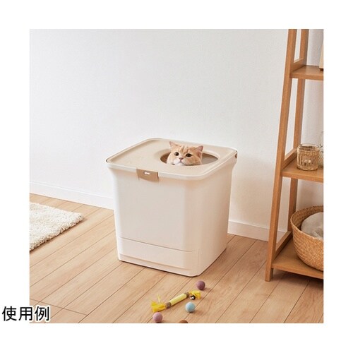 ���N���[���@���L�V�X�e���g�C��